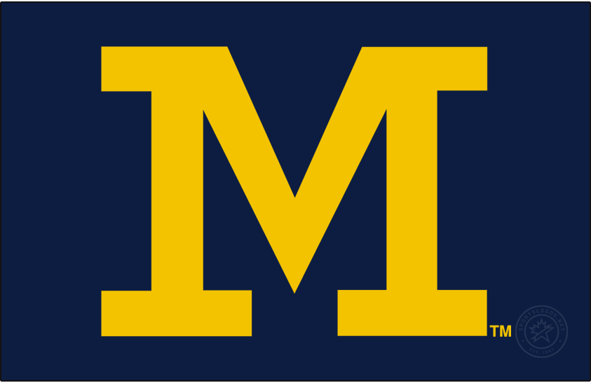 Michigan Wolverines 2016-Pres Secondary Logo v4 diy iron on heat transfer